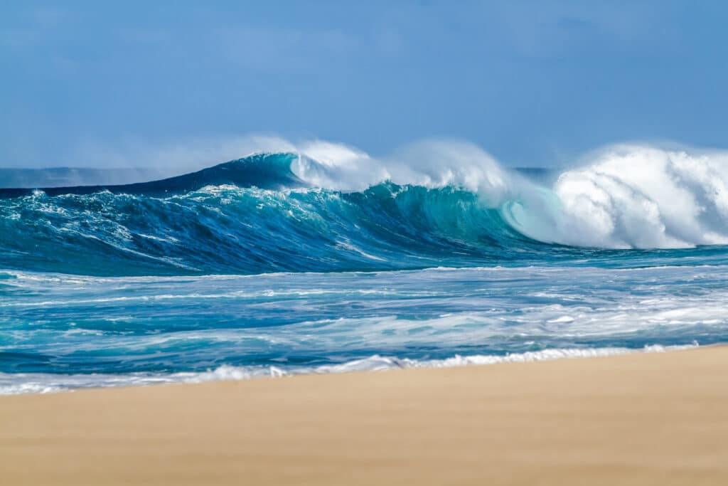 Big Waves hateii hawiia hawaii. hawaiii hawiaii hwaii hawaai hawall hawii hawwai hawwaii hawwii hiwaii haiwaii hawia hawwi 543350227