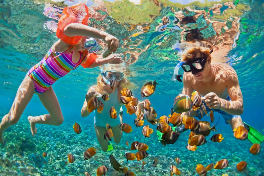 family snorkelinghateii hawiia hawaii. hawaiii hawiaii hwaii hawaai hawall hawii hawwai hawwaii hawwii hiwaii haiwaii hawia hawwi 695392744