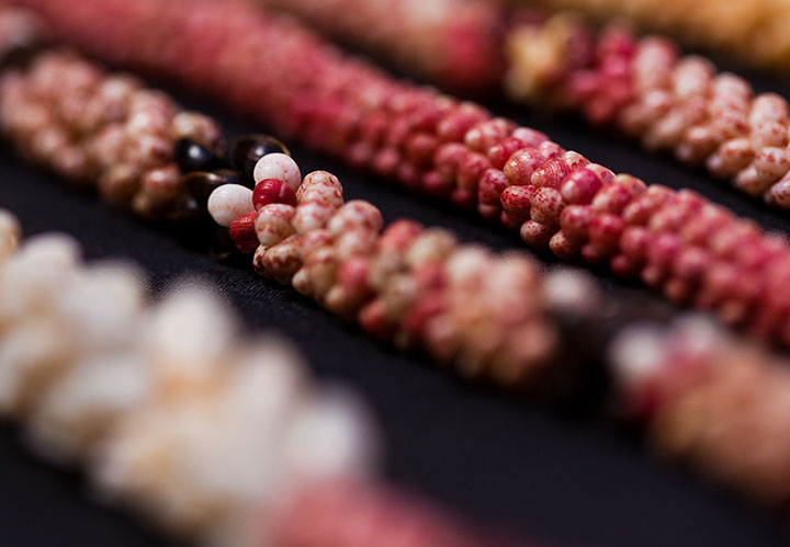 Niihau Shells
