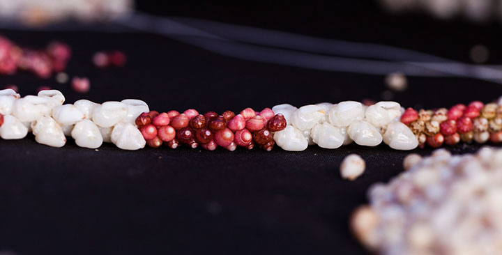 Niihau Shells