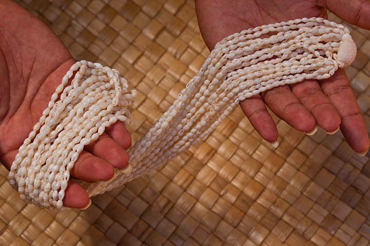 Niihau Shells