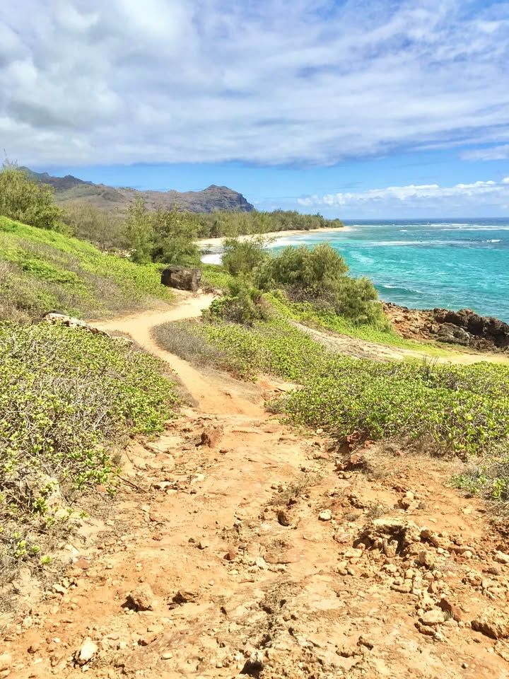 dirt trail