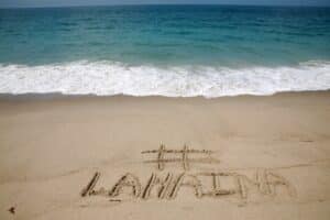 Lahaina hateii hawiia hawaii. hawaiii hawiaii hwaii hawaai hawall hawii hawwai hawwaii hawwii hiwaii haiwaii hawia hawwi 2349038003