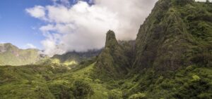 Vegetation covered spire