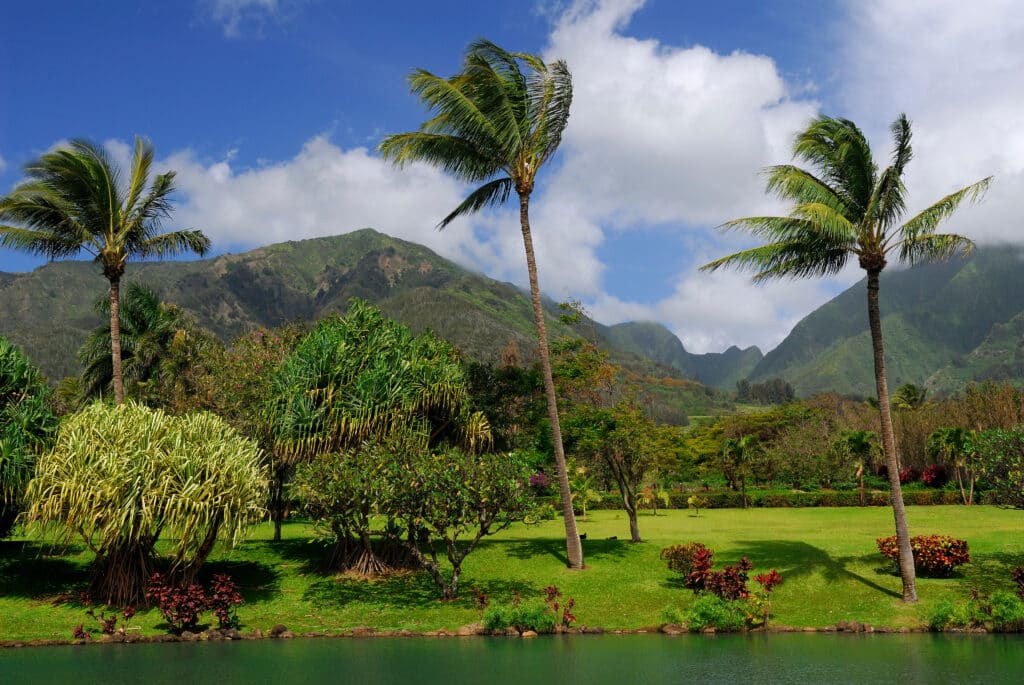 Maui Tropical Plantation  hateii hawiia hawaii. hawaiii hawiaii hwaii hawaai hawall hawii hawwai hawwaii hawwii hiwaii haiwaii hawia hawwi 1344303662   