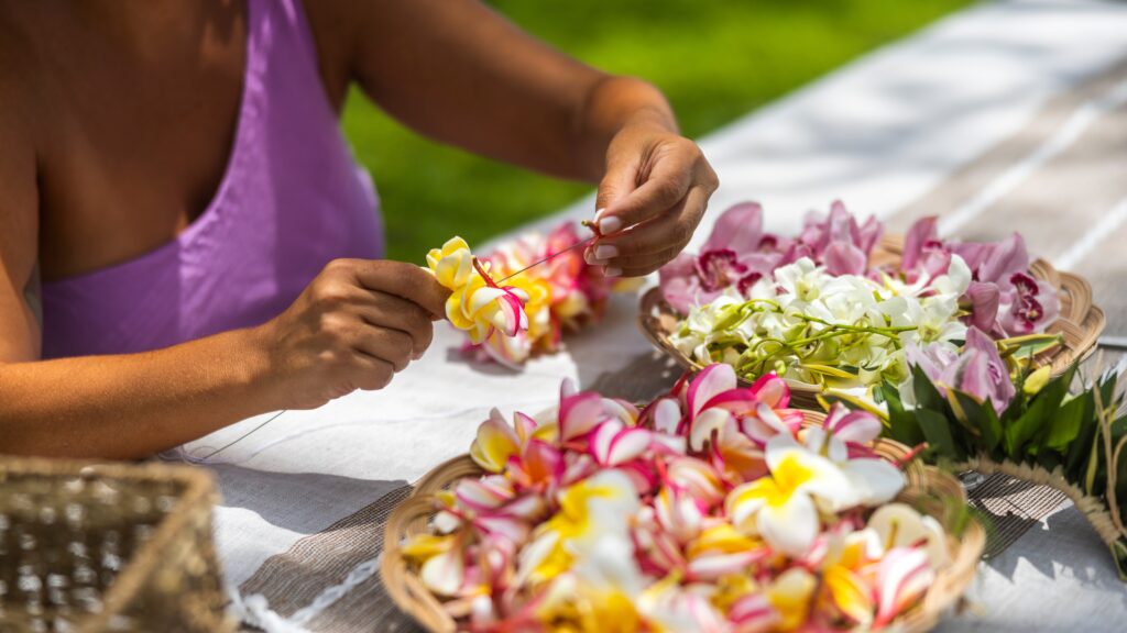 Plumeria Leihateii hawiia hawaii. hawaiii hawiaii hwaii hawaai hawall hawii hawwai hawwaii hawwii hiwaii haiwaii hawia hawwi 2286487689