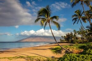 Tropical Kamaole Beach, Maui, Hawaii hateii hawiia hawaii. hawaiii hawiaii hwaii hawaai hawall hawii hawwai hawwaii hawwii hiwaii haiwaii hawia hawwi 2421112981